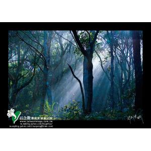 陽明山晨霧