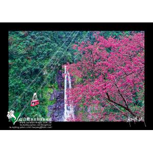 烏來春色-