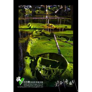 杉林溪忘憂林