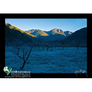 武陵秋霜