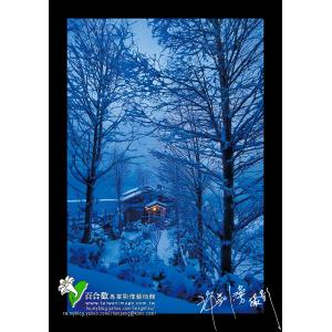 清境雪季之夜