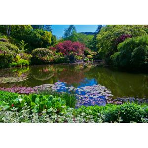 加拿大英國女皇花園