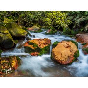 陽明山上磺溪